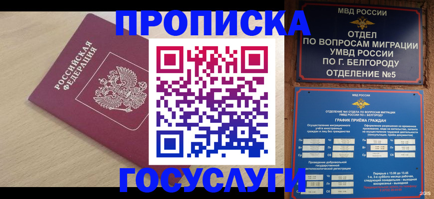 прописка законно в Лебедяни